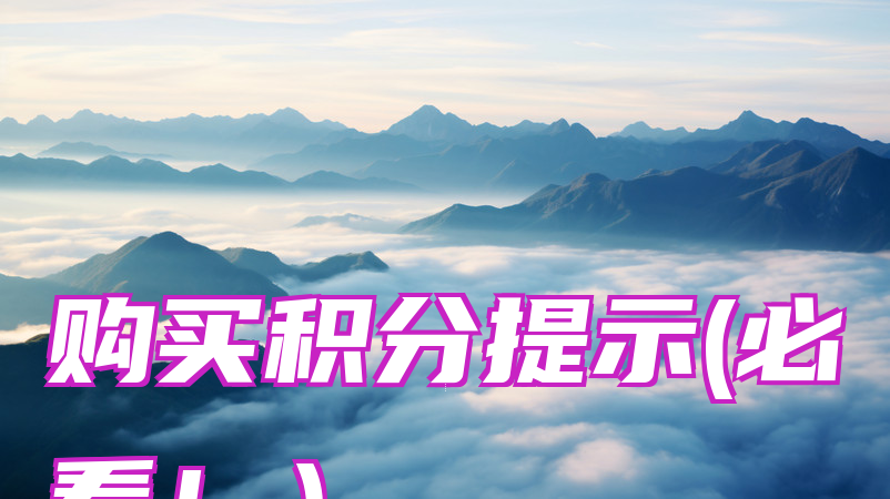 购买积分提示(必看！）